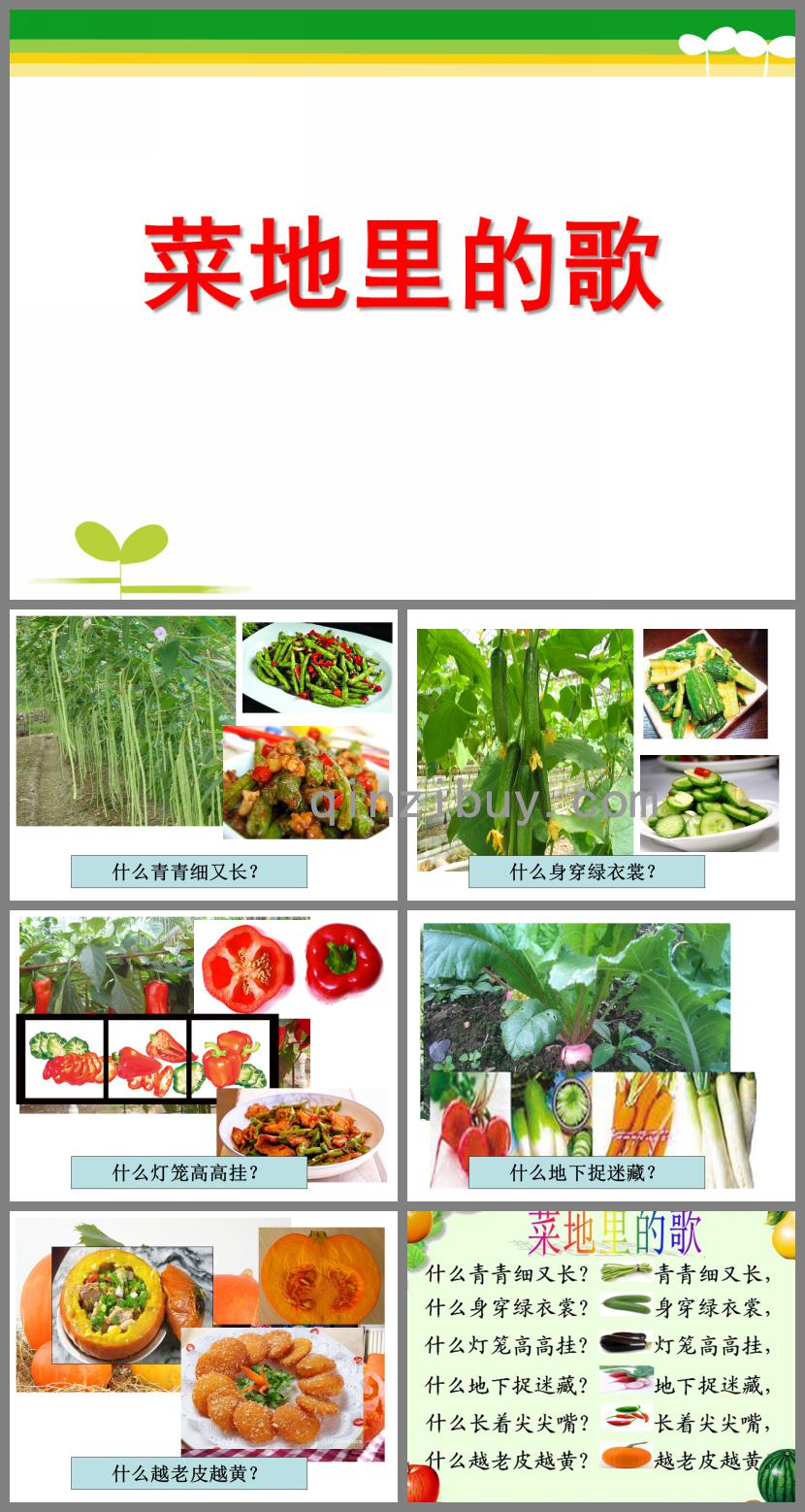 大班音乐菜地里的歌PPT课件