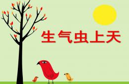 中班社会公开课生气虫飞上天PPT课件