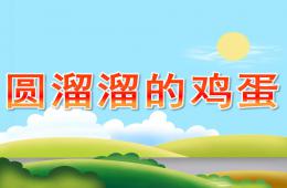 小班科学圆溜溜的鸡蛋PPT课件