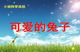 小班科学公开课可爱的兔子PPT课件