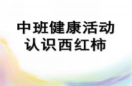 中班健康活动认识西红柿PPT课件