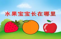 小班科学水果宝宝长在哪里PPT课件视频