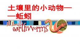 幼儿园科学土壤里的小动物蚯蚓PPT课件