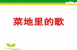 大班音乐菜地里的歌PPT课件