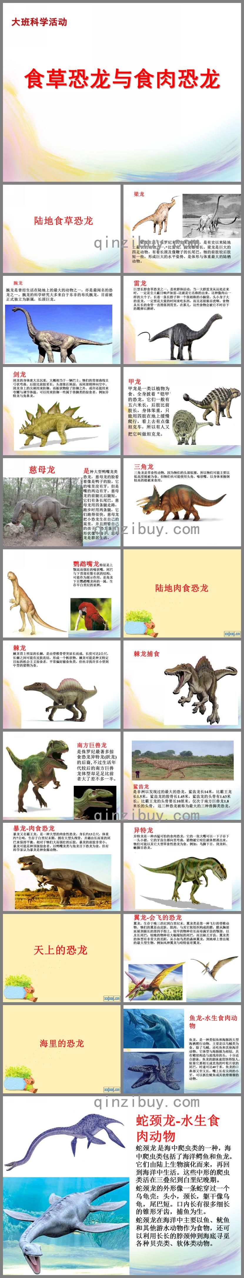 大班科学活动食草恐龙和食肉恐龙PPT课件