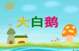 幼儿园动物儿歌大白鹅PPT课件配音音乐