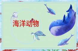 中班科学海洋动物PPT课件