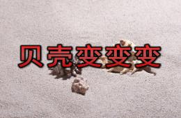 小班美术艺术活动贝壳变变变PPT课件