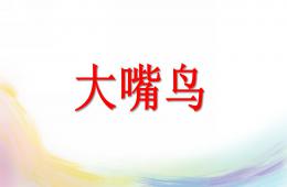 大班美术大嘴鸟PPT课件
