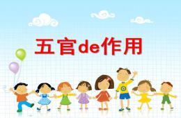 大班健康五官的作用PPT课件