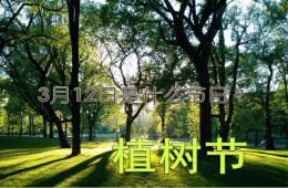 大班植树节PPT课件