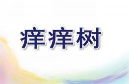 大班语言痒痒树PPT课件