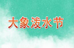 中班美术大象泼水节PPT课件