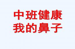 中班健康我的鼻子PPT课件