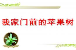大班主题我家门前的苹果树PPT课件