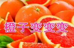 大班音乐橙子变变变PPT课件