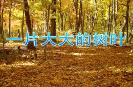 中班美术一片大大的树叶PPT课件