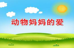 中班社会语言动物妈妈的爱PPT课件