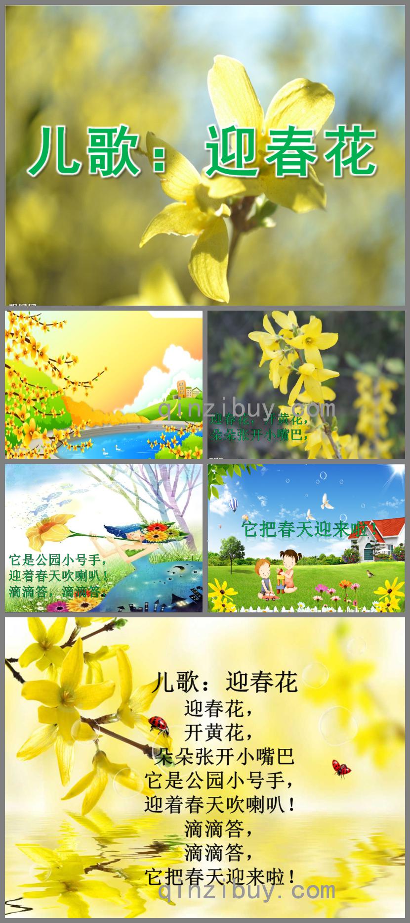 小班儿歌迎春花PPT课件音乐
