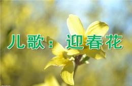 小班儿歌迎春花PPT课件音乐