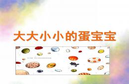 小班科学活动大大小小的蛋宝宝PPT课件