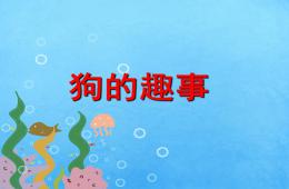 大班主题狗狗的趣事PPT课件