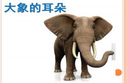 小班语言大象的耳朵PPT课件