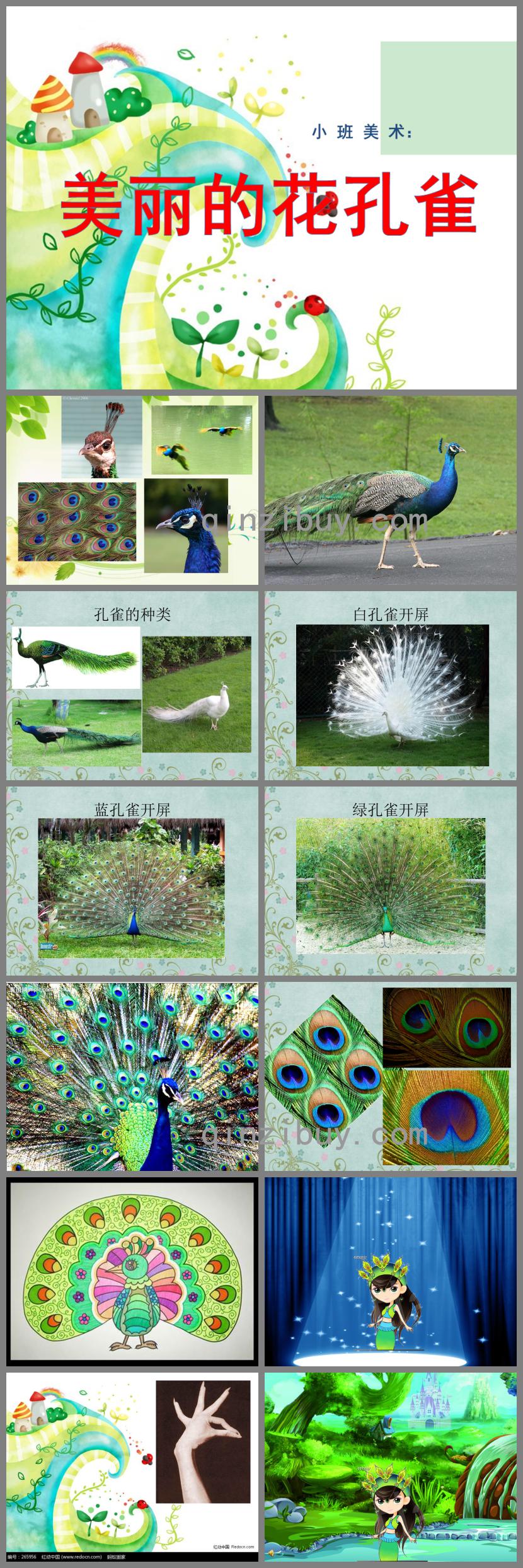 小班美术美丽的花孔雀PPT课件