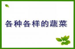 幼儿园科学各种各样的蔬菜PPT课件