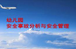 幼儿园安全事故分析与安全管理PPT课件