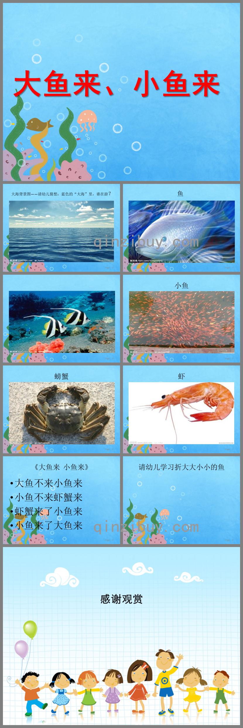 小班语言大鱼来小鱼来PPT课件