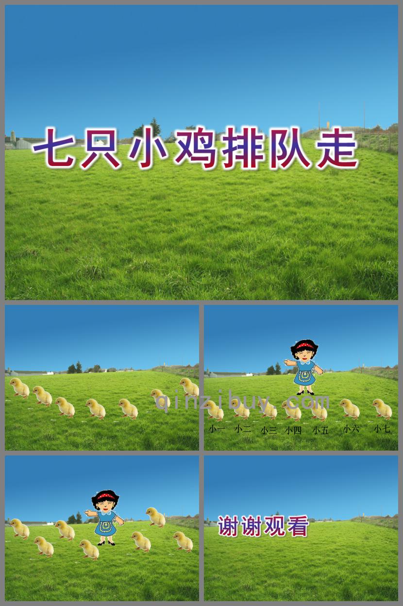 中班语言七只小鸡排队走PPT课件