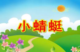 幼儿园动物儿歌小蜻蜓PPT课件配音音乐