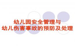 幼儿园安全管理与事故处理PPT课件