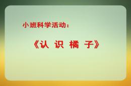 小班科学活动剥橘子PPT课件