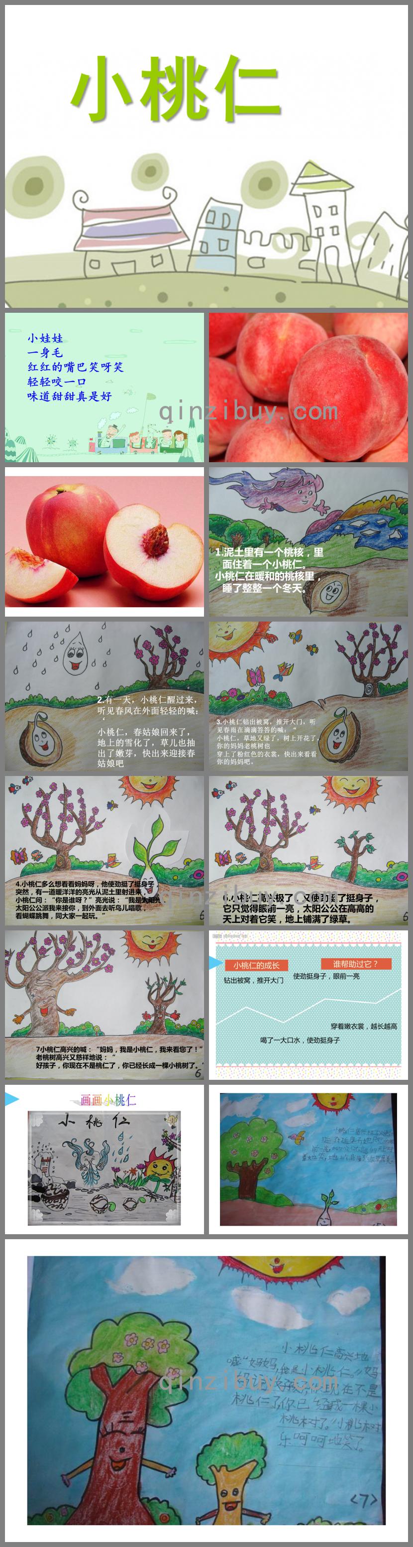 大班语言小桃仁PPT课件