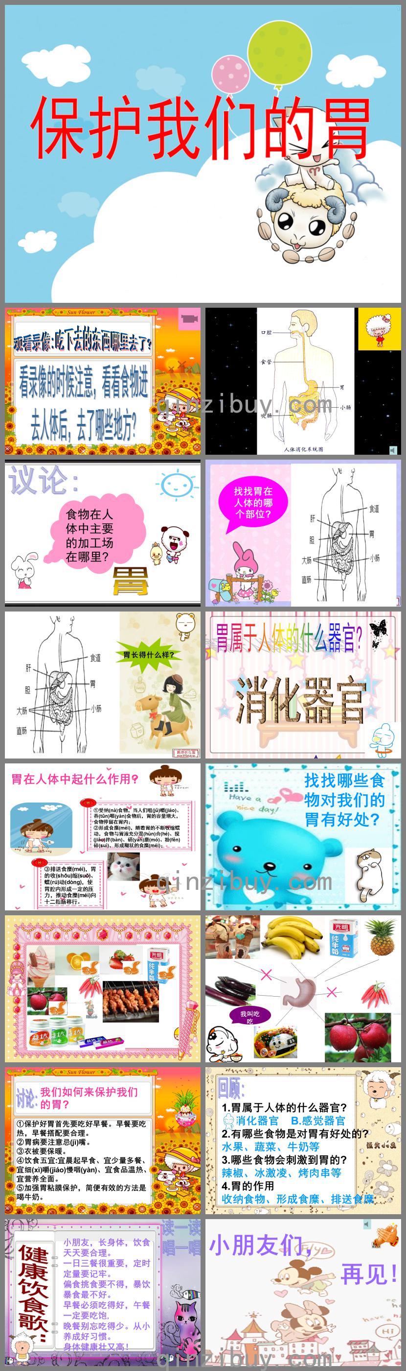 大班健康保护我们的胃PPT课件