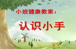 小班健康认识手PPT课件