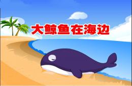 大班语言大鲸鱼在海边PPT课件