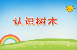 小班科学活动认识树木PPT课件