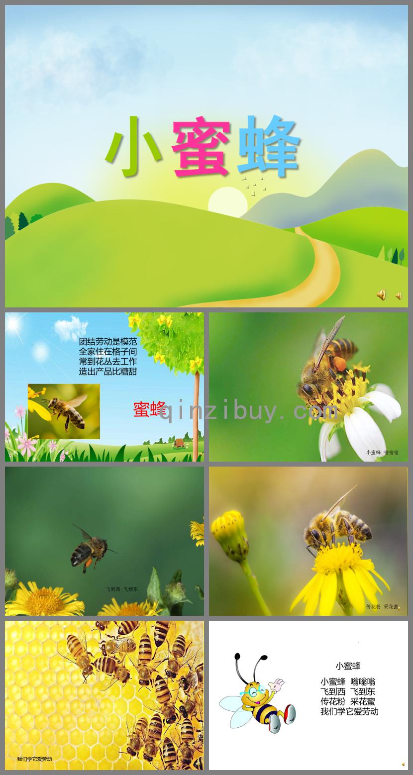 幼儿园动物儿歌小蜜蜂PPT课件配音音乐