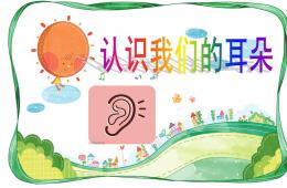 中班健康认识耳朵PPT课件