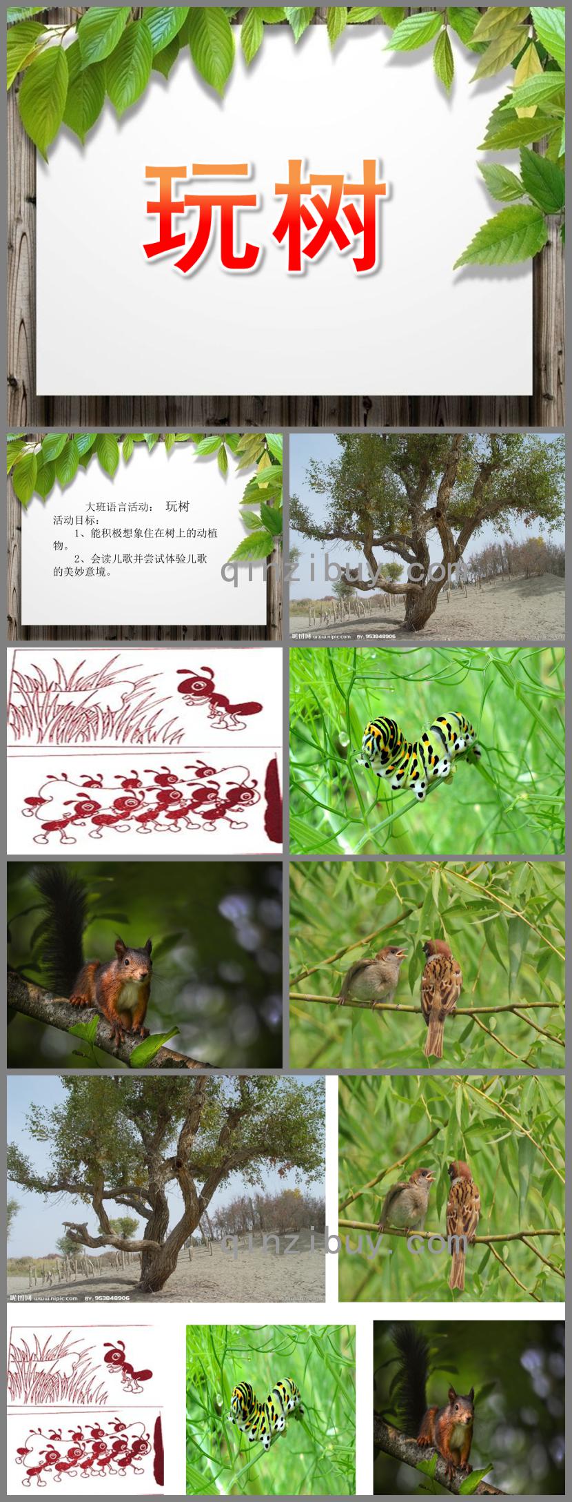 大班语言玩树PPT课件