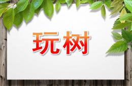 大班语言玩树PPT课件