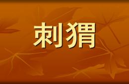 幼儿园美术刺猬PPT课件