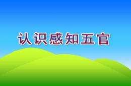 小班健康认识感知五官PPT课件