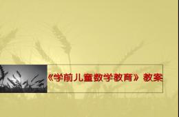 幼儿园学前儿童数学教育PPT课件