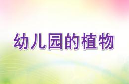 大班语言幼儿园的植物PPT课件