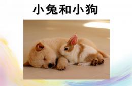 小班社会礼貌小天使小兔和小狗PPT课件