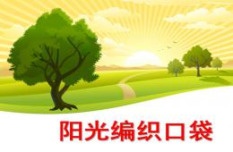 大班语言阳光编织口袋PPT课件
